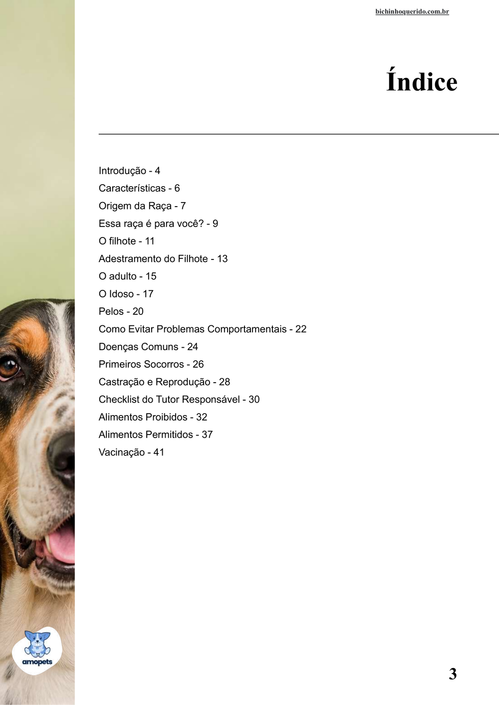 índice do e-book Guia de Como Cuidar do Basset Hound