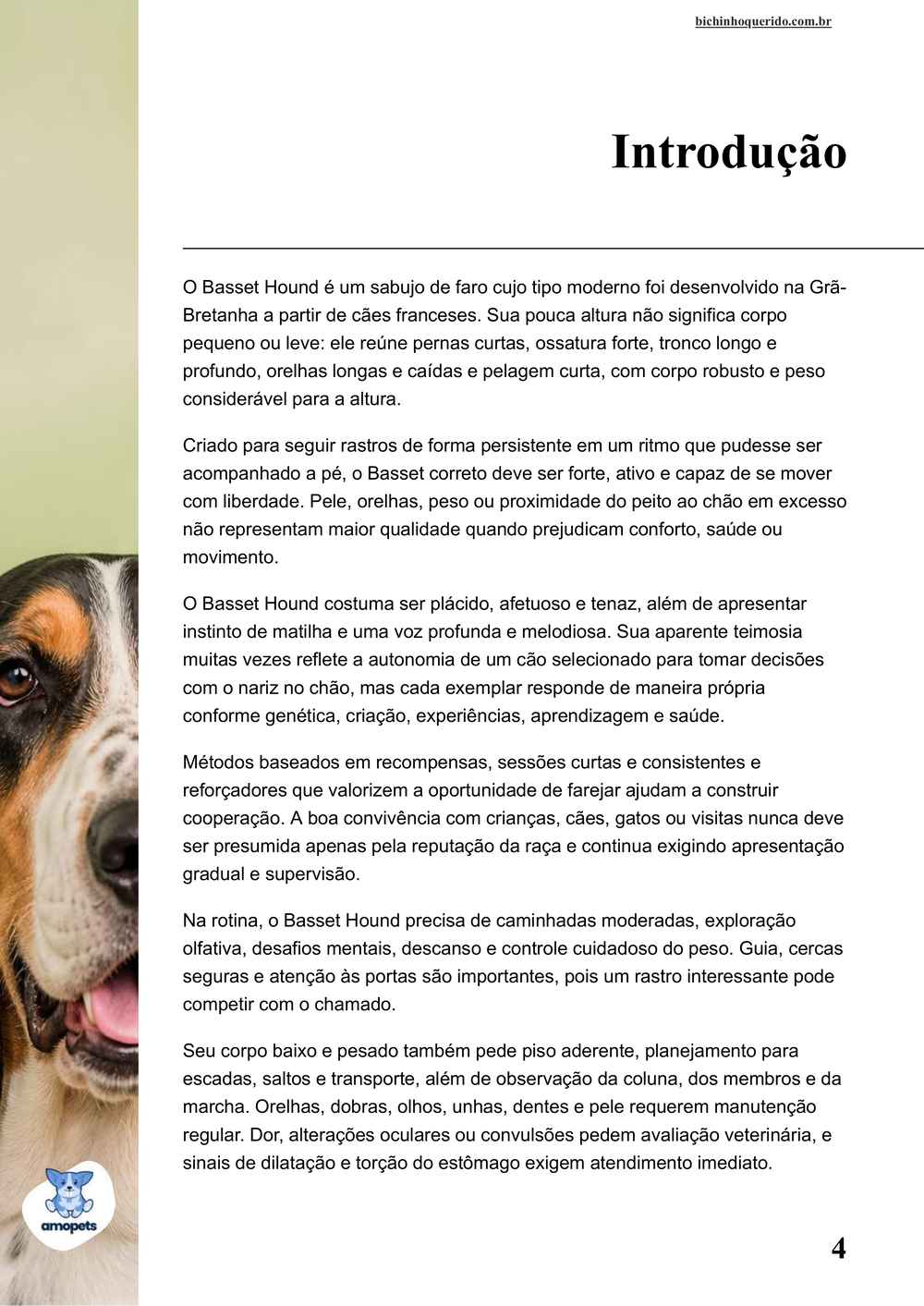 introdução do e-book Guia de Como Cuidar do Basset Hound