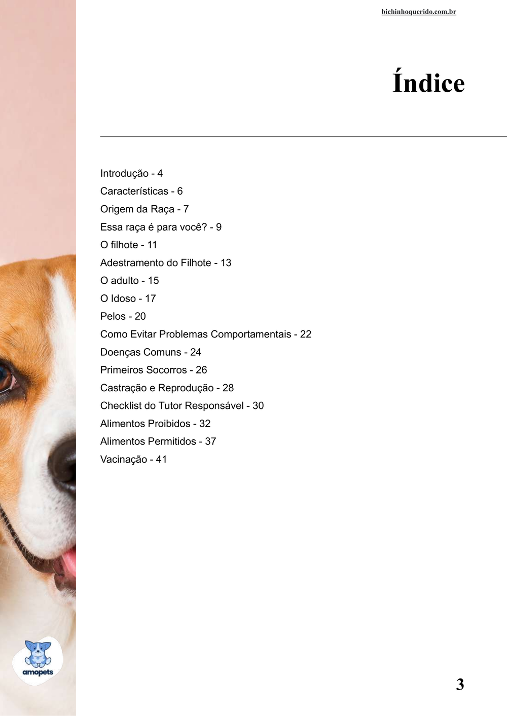 índice do e-book Guia de Como Cuidar do Beagle