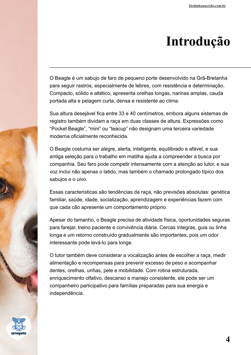 introdução do e-book Guia de Como Cuidar do Beagle