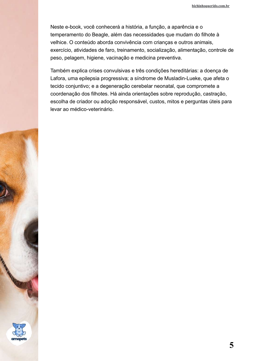 continuação da introdução do e-book Guia de Como Cuidar do Beagle