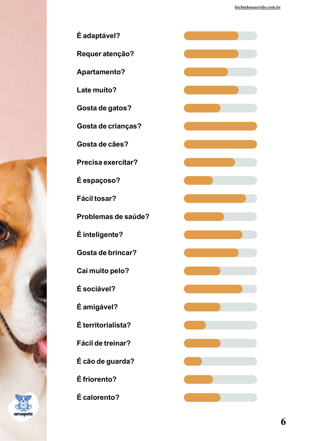 perfil da raça no e-book Guia de Como Cuidar do Beagle