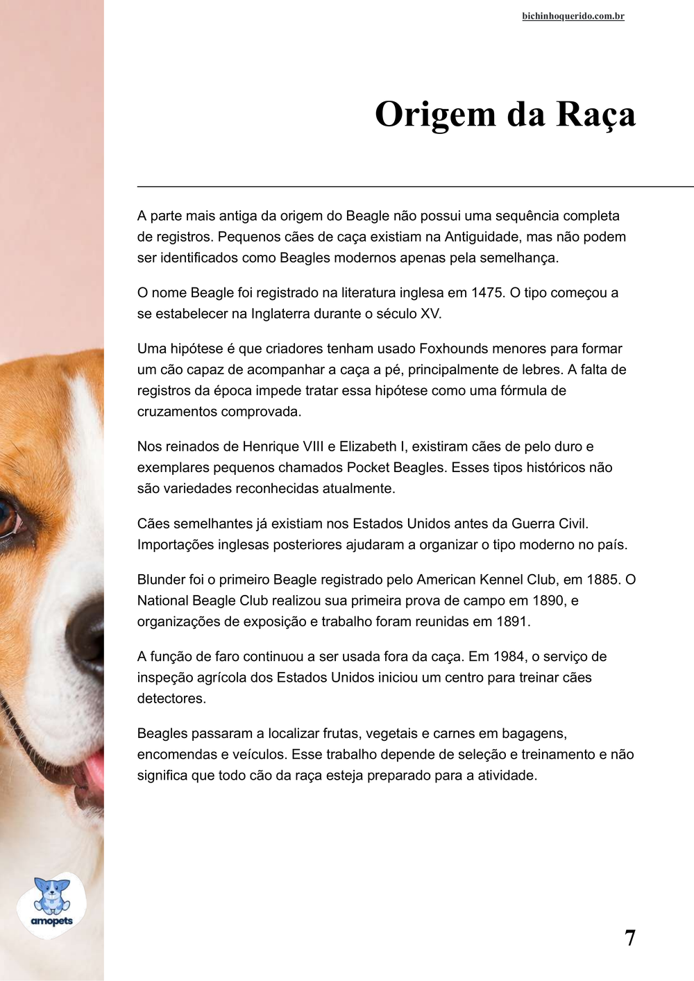 origem da raça no e-book Guia de Como Cuidar do Beagle