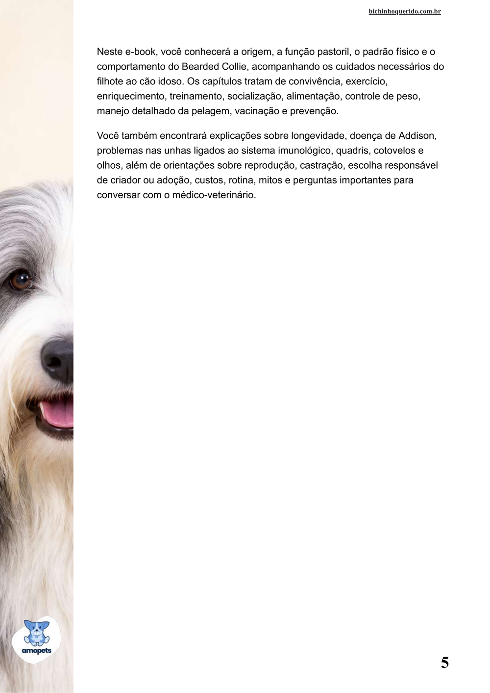 continuação da introdução do e-book Guia de Como Cuidar do Bearded Collie
