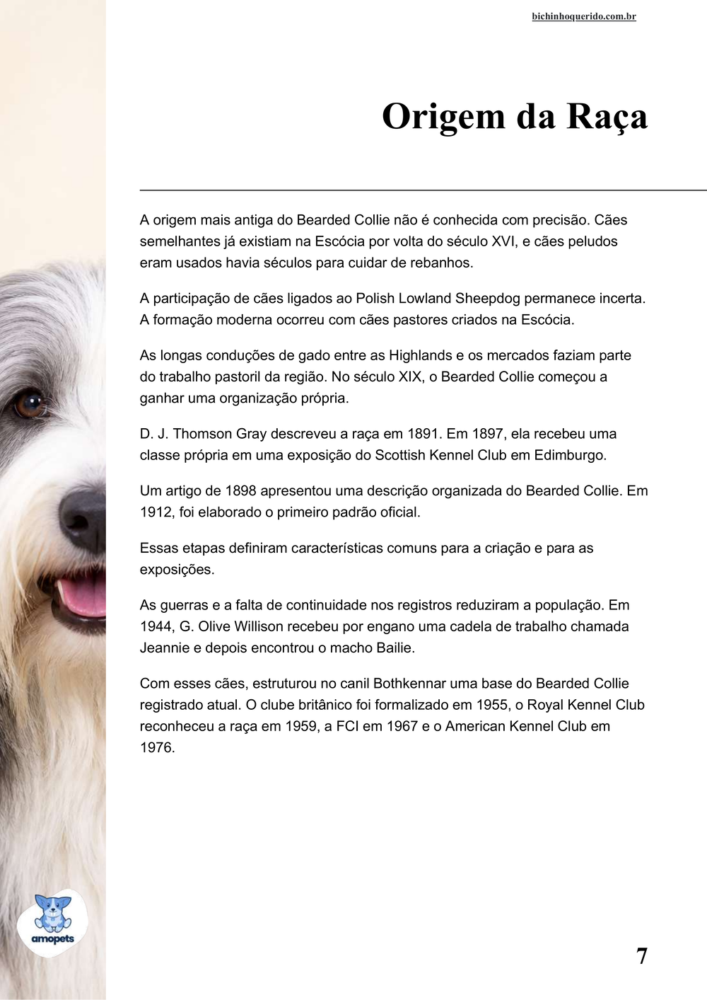 origem da raça no e-book Guia de Como Cuidar do Bearded Collie