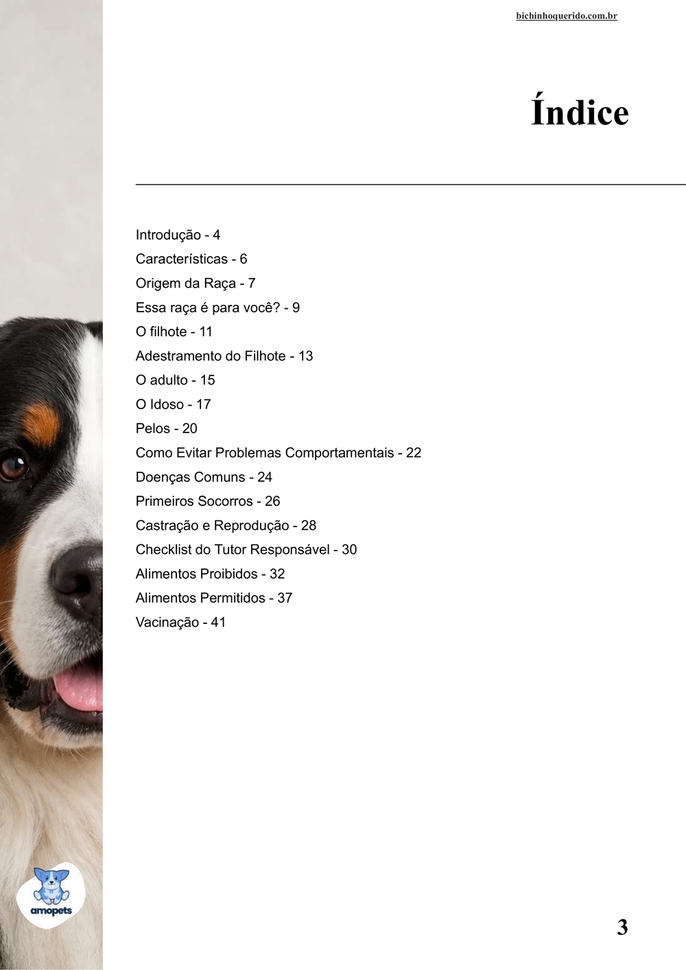 índice do e-book Guia de Como Cuidar do Bernese