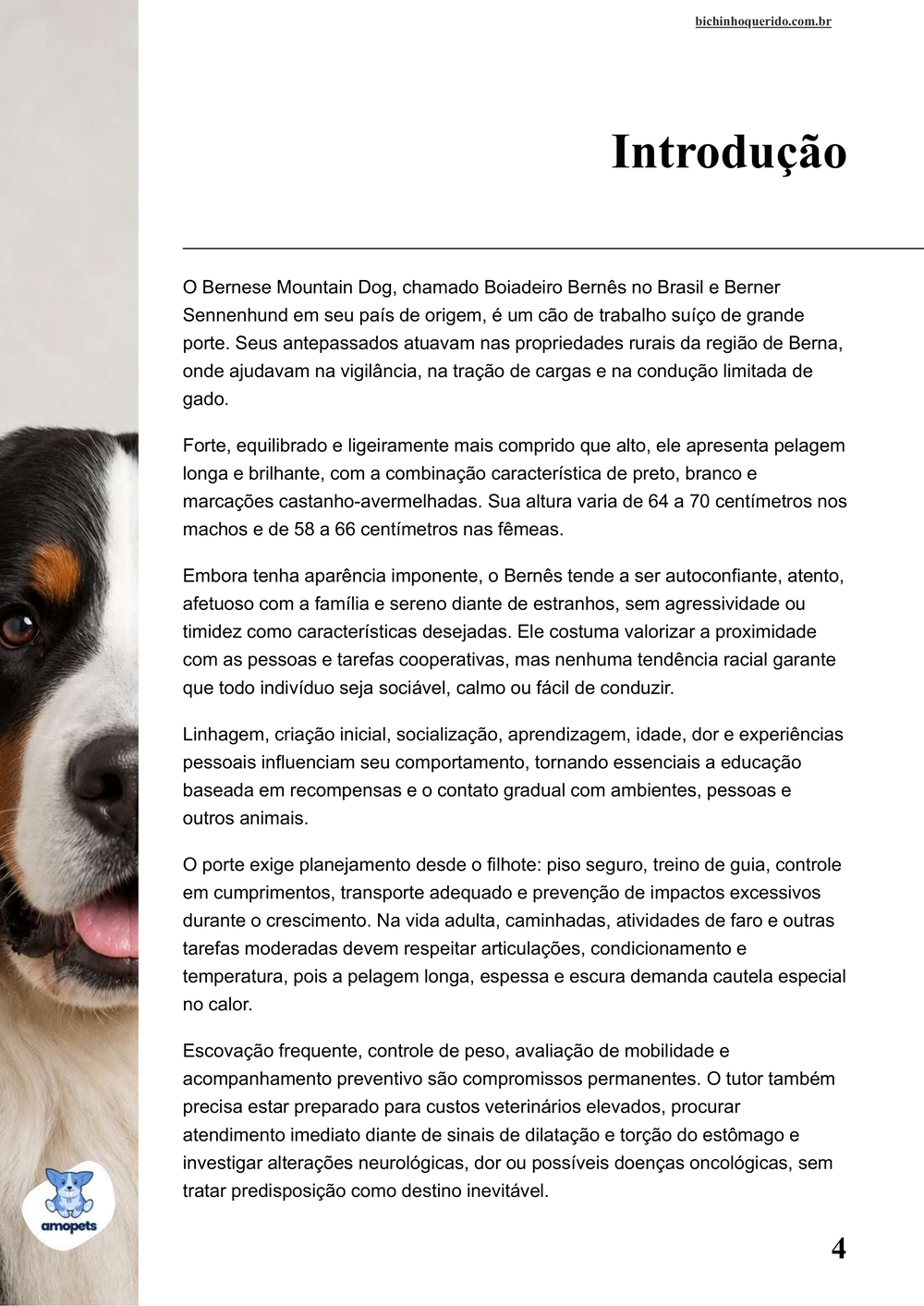 introdução do e-book Guia de Como Cuidar do Bernese
