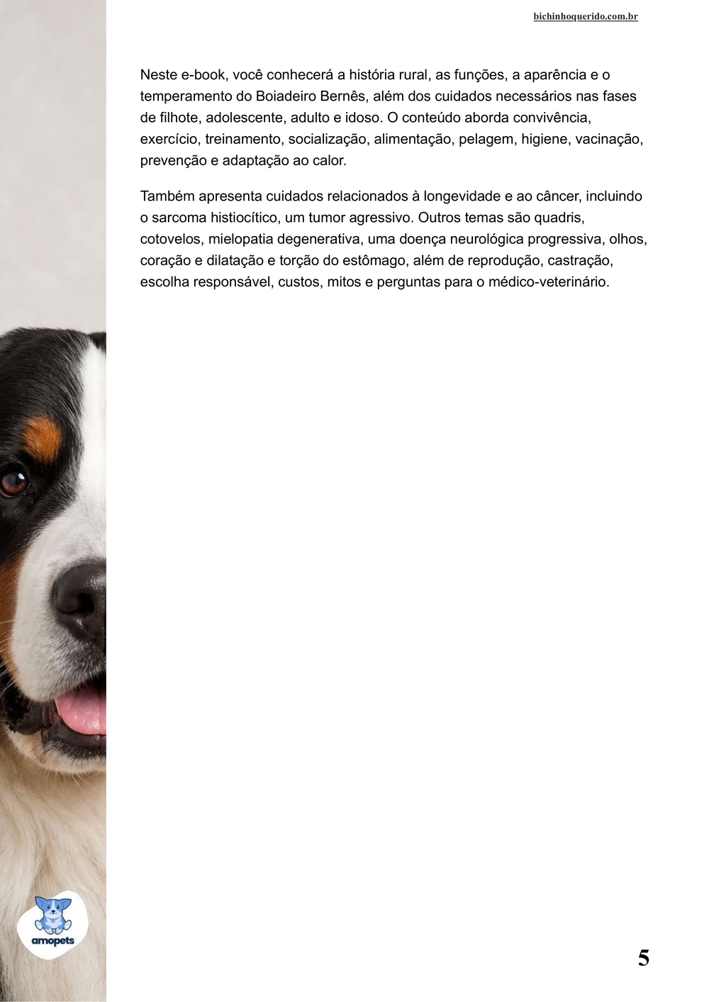continuação da introdução do e-book Guia de Como Cuidar do Bernese