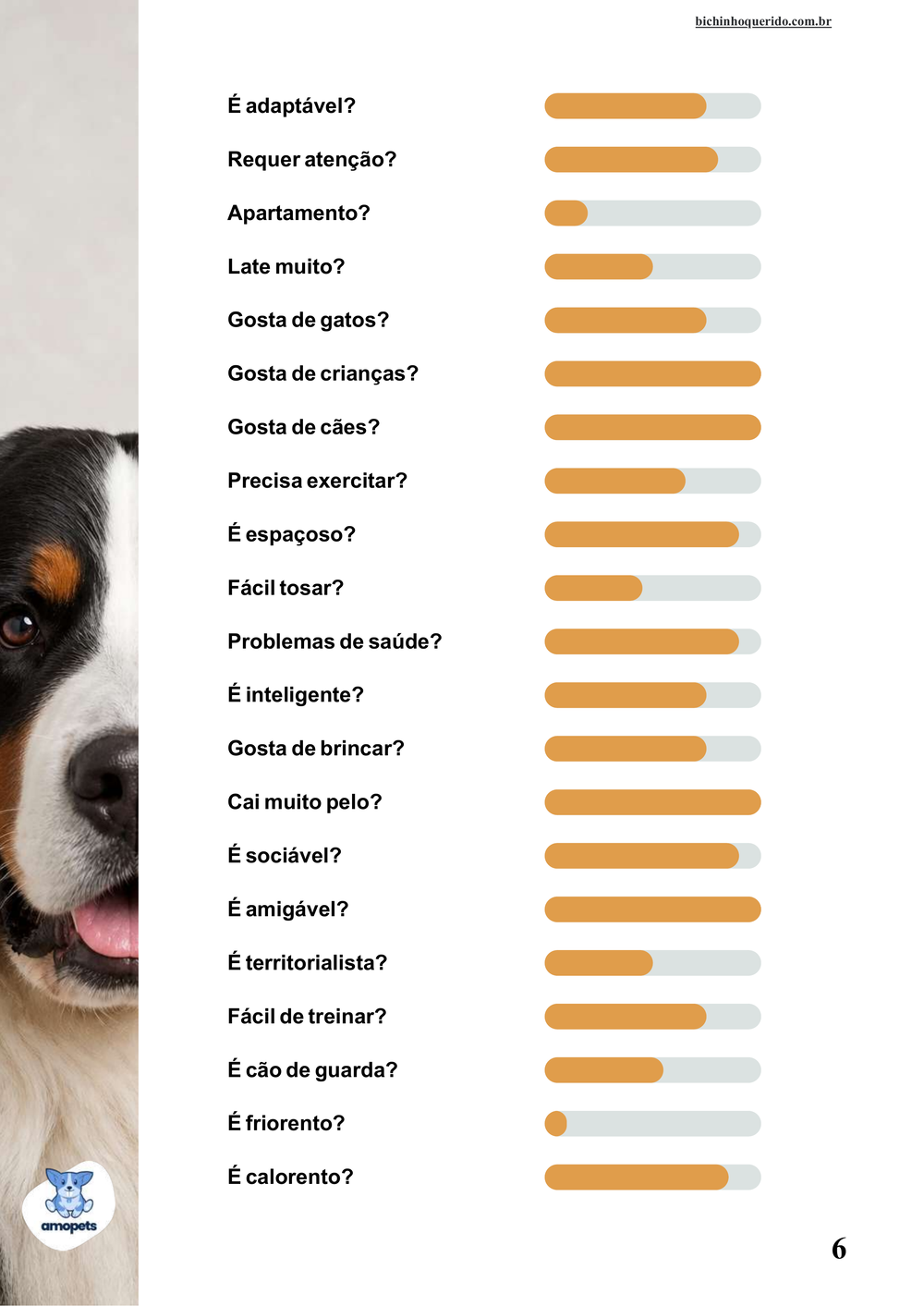perfil da raça no e-book Guia de Como Cuidar do Bernese