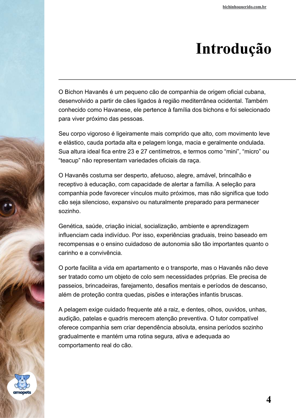 introdução do e-book Guia de Como Cuidar do Bichon Havanês