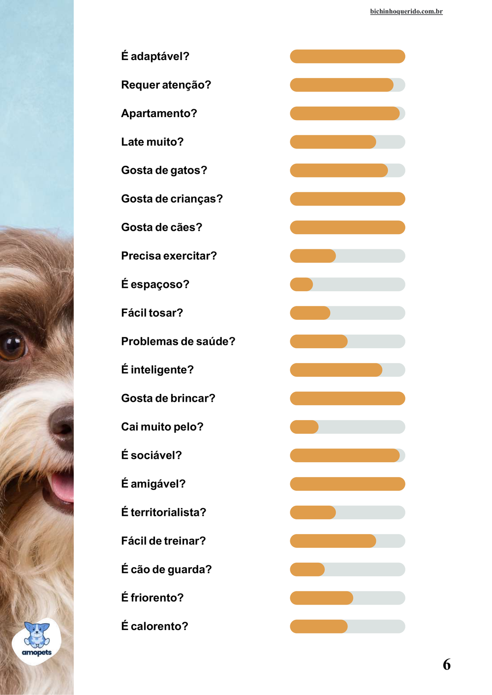 perfil da raça no e-book Guia de Como Cuidar do Bichon Havanês