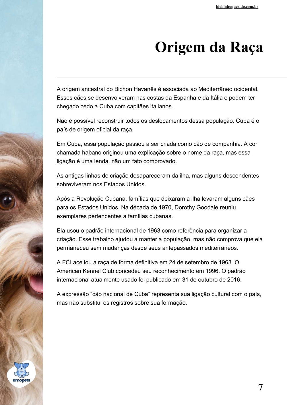 origem da raça no e-book Guia de Como Cuidar do Bichon Havanês