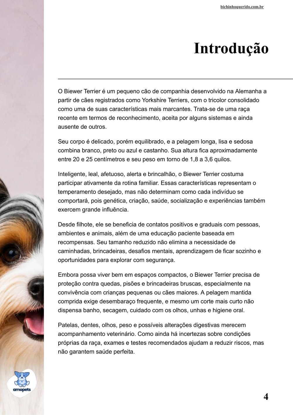 introdução do e-book Guia de Como Cuidar do Biewer Terrier