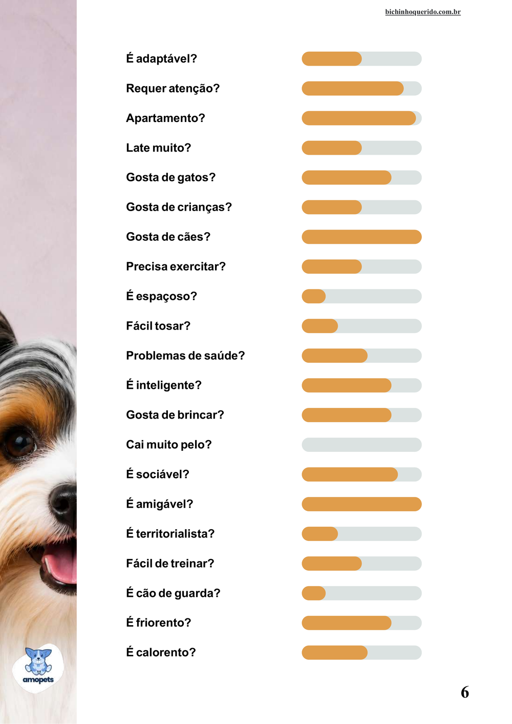 perfil da raça no e-book Guia de Como Cuidar do Biewer Terrier
