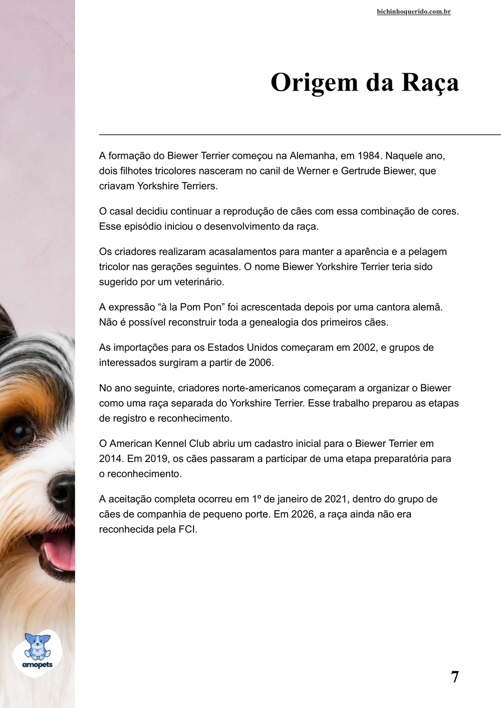origem da raça no e-book Guia de Como Cuidar do Biewer Terrier