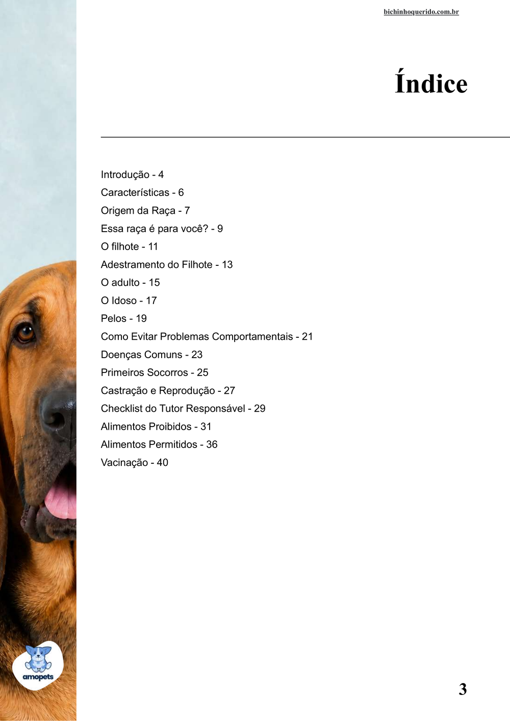 índice do e-book Guia de Como Cuidar do Bloodhound