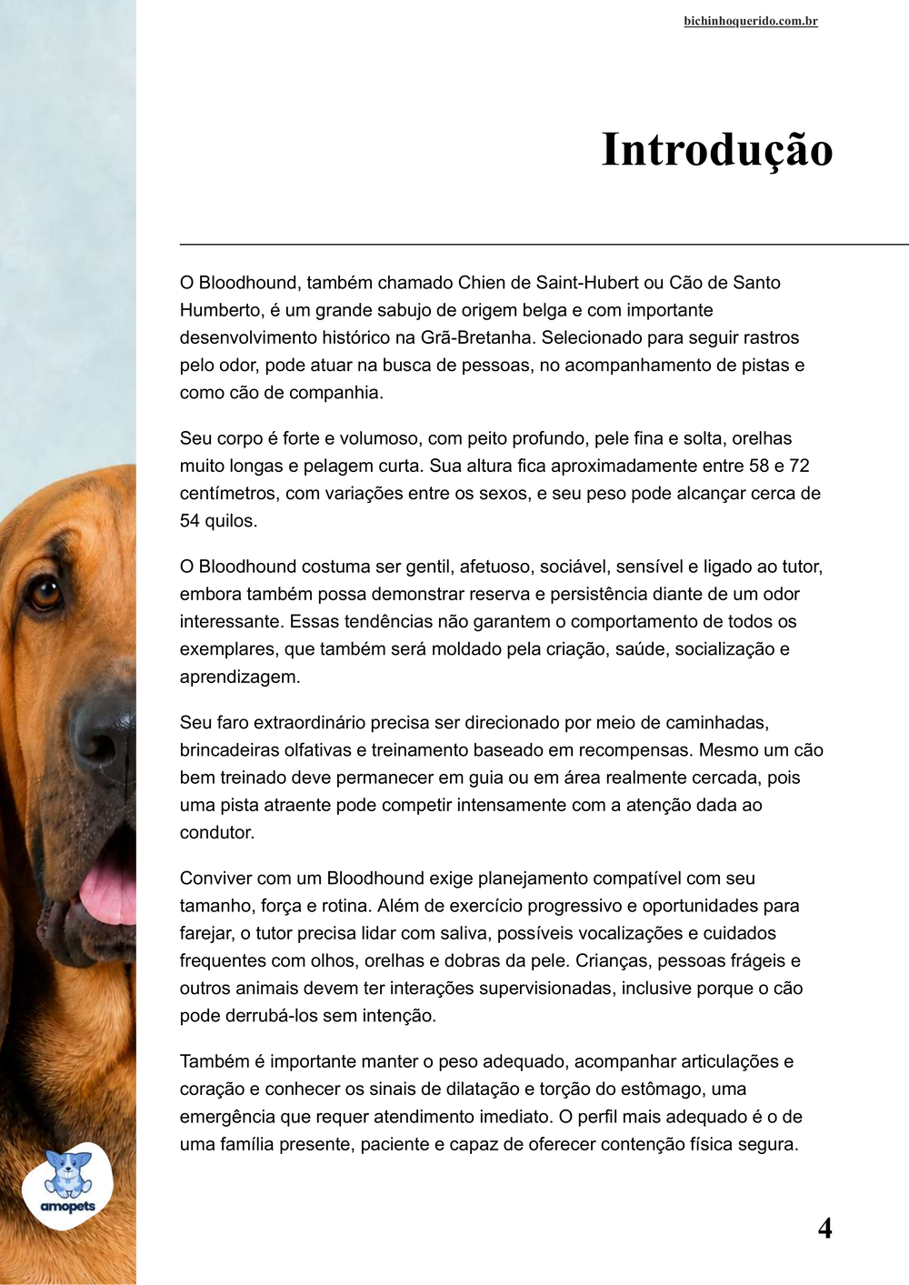 introdução do e-book Guia de Como Cuidar do Bloodhound