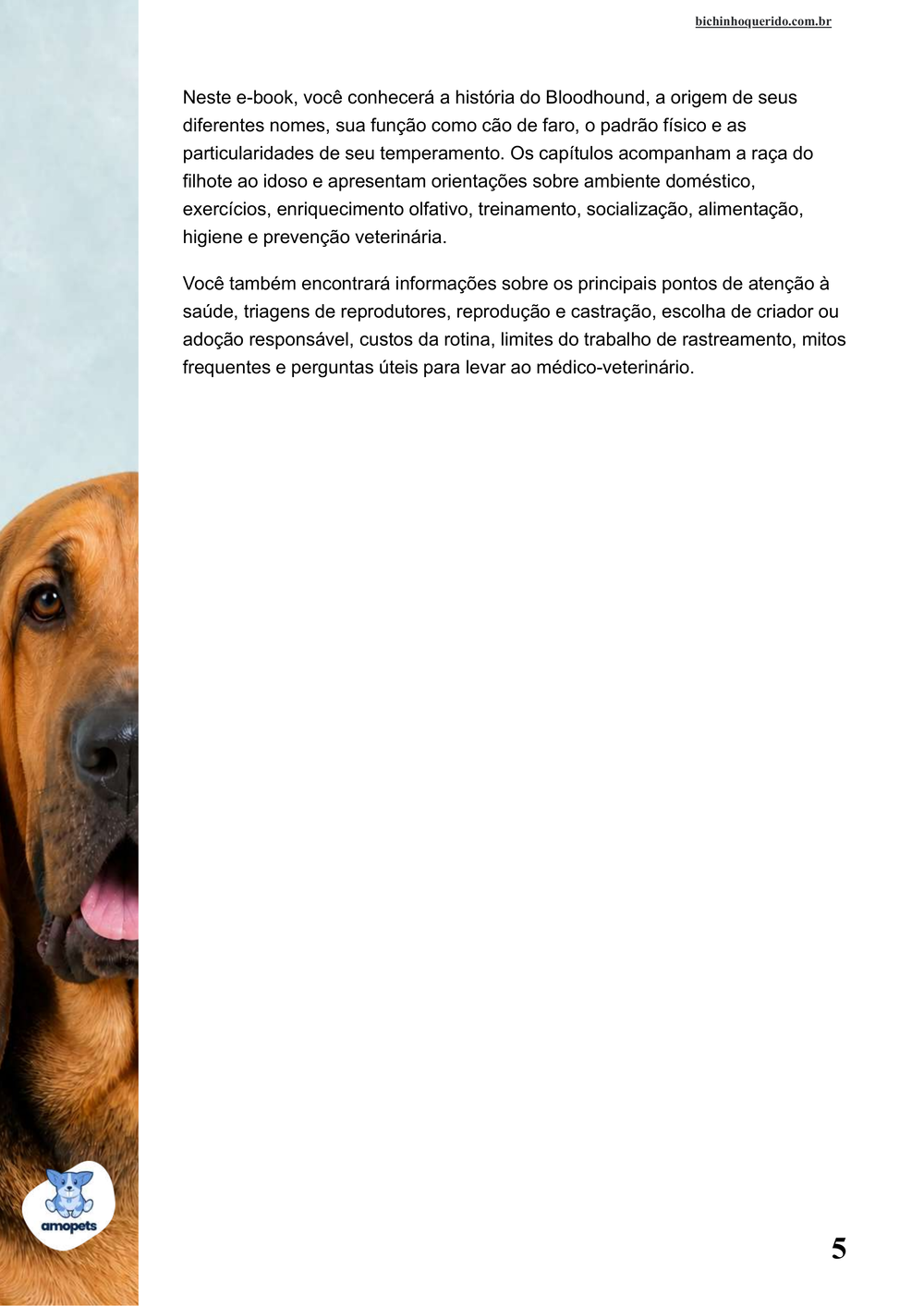 continuação da introdução do e-book Guia de Como Cuidar do Bloodhound