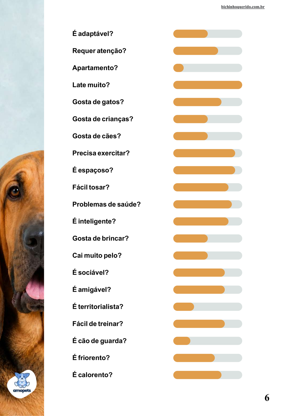 perfil da raça no e-book Guia de Como Cuidar do Bloodhound