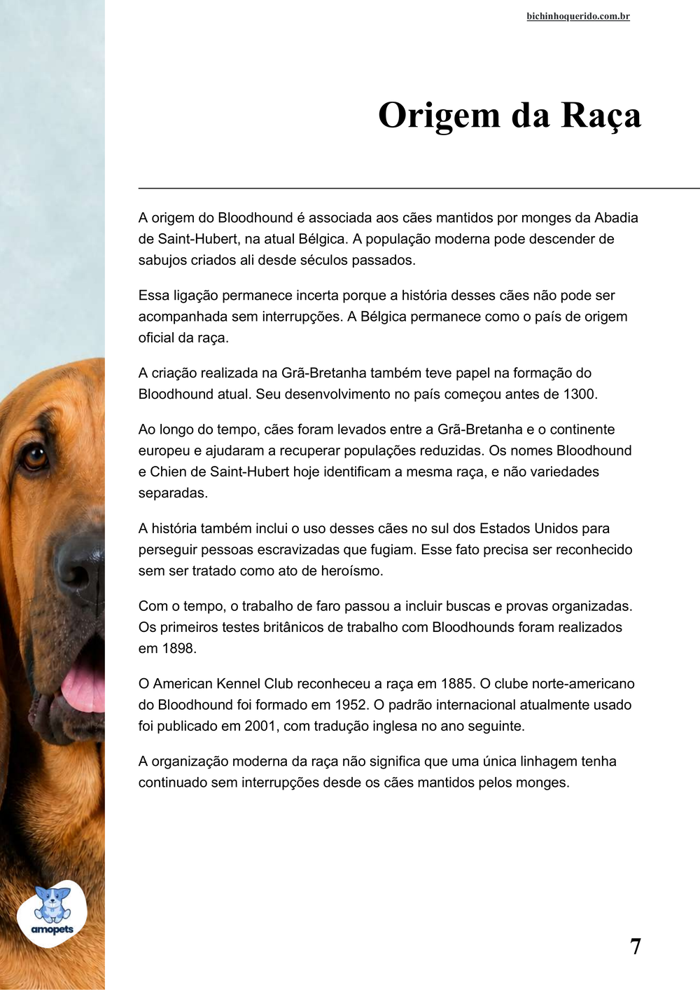 origem da raça no e-book Guia de Como Cuidar do Bloodhound