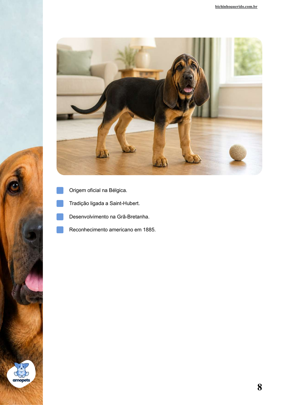 características do Bloodhound no e-book Guia de Como Cuidar do Bloodhound