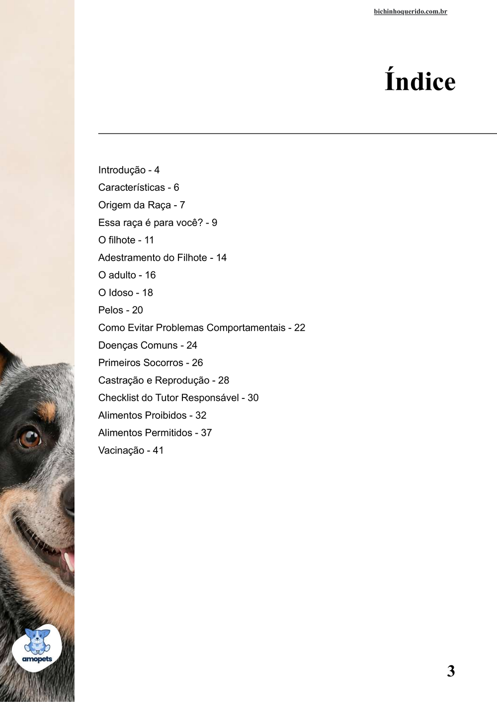 índice do e-book Guia de Como Cuidar do Blue Heeler