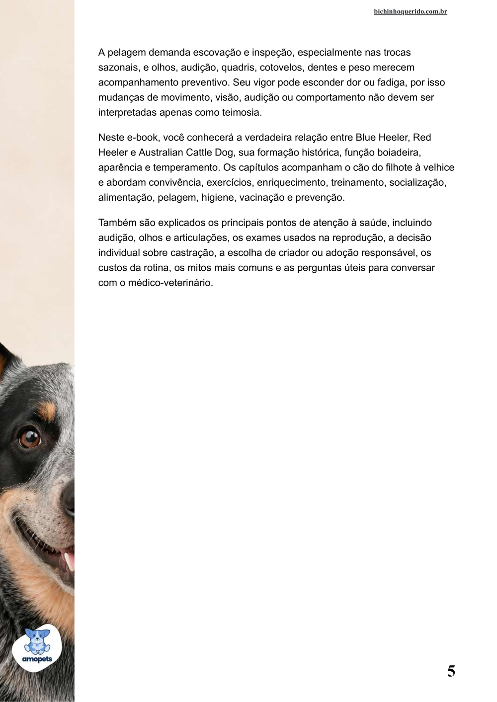 continuação da introdução do e-book Guia de Como Cuidar do Blue Heeler