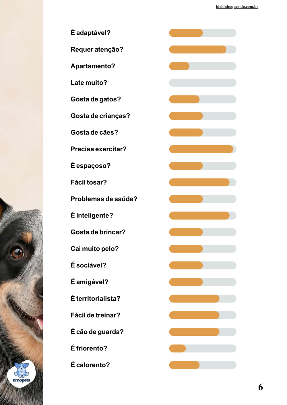 perfil da raça no e-book Guia de Como Cuidar do Blue Heeler