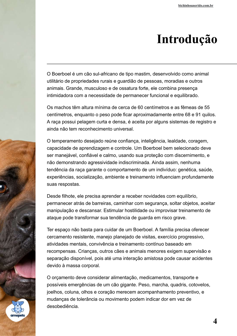introdução do e-book Guia de Como Cuidar do Boerboel