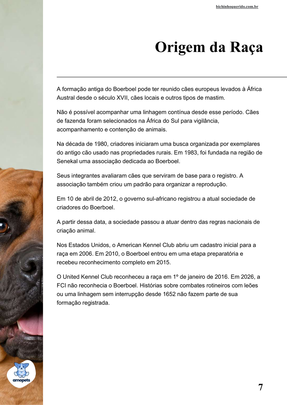 origem da raça no e-book Guia de Como Cuidar do Boerboel