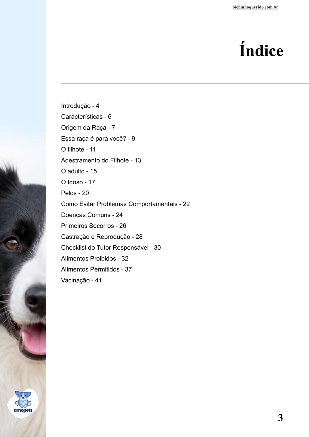 índice do e-book Guia de Como Cuidar do Border Collie