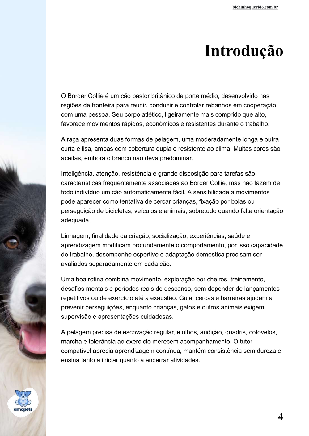 introdução do e-book Guia de Como Cuidar do Border Collie