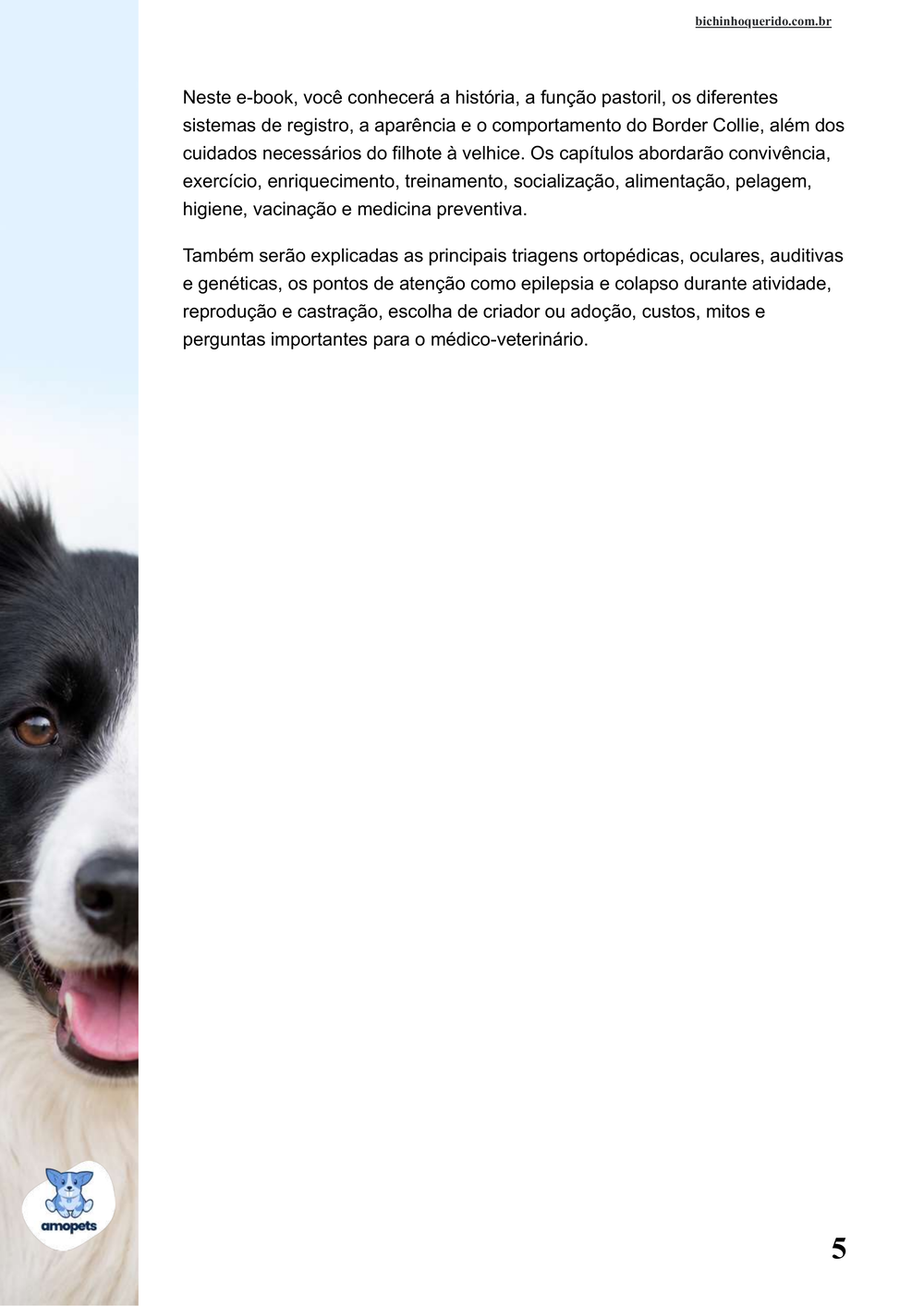 continuação da introdução do e-book Guia de Como Cuidar do Border Collie