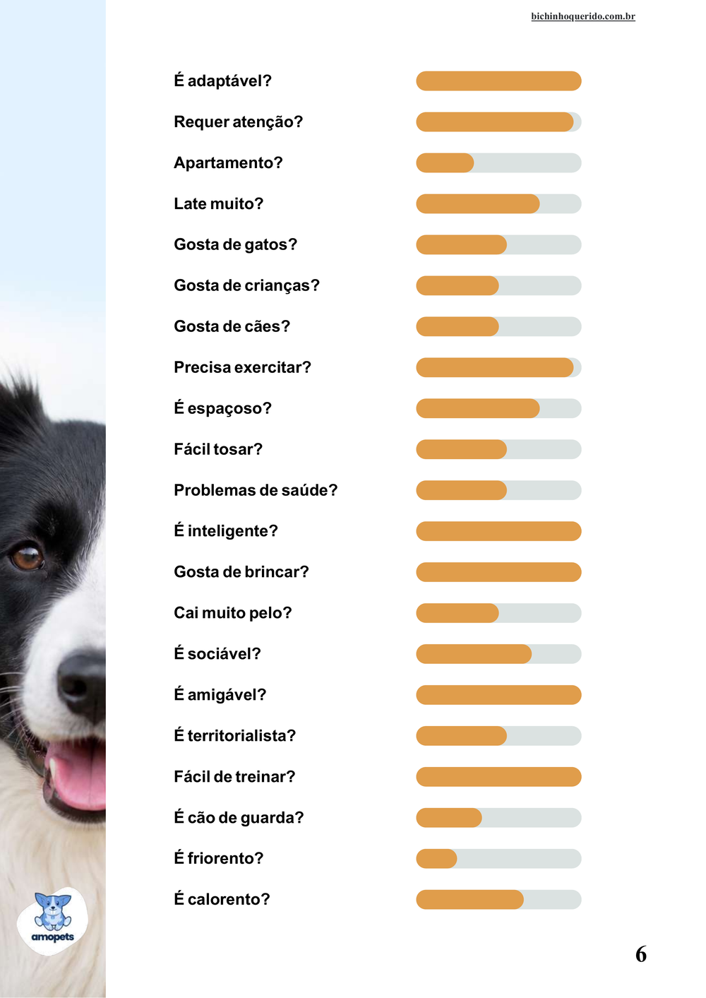perfil da raça no e-book Guia de Como Cuidar do Border Collie