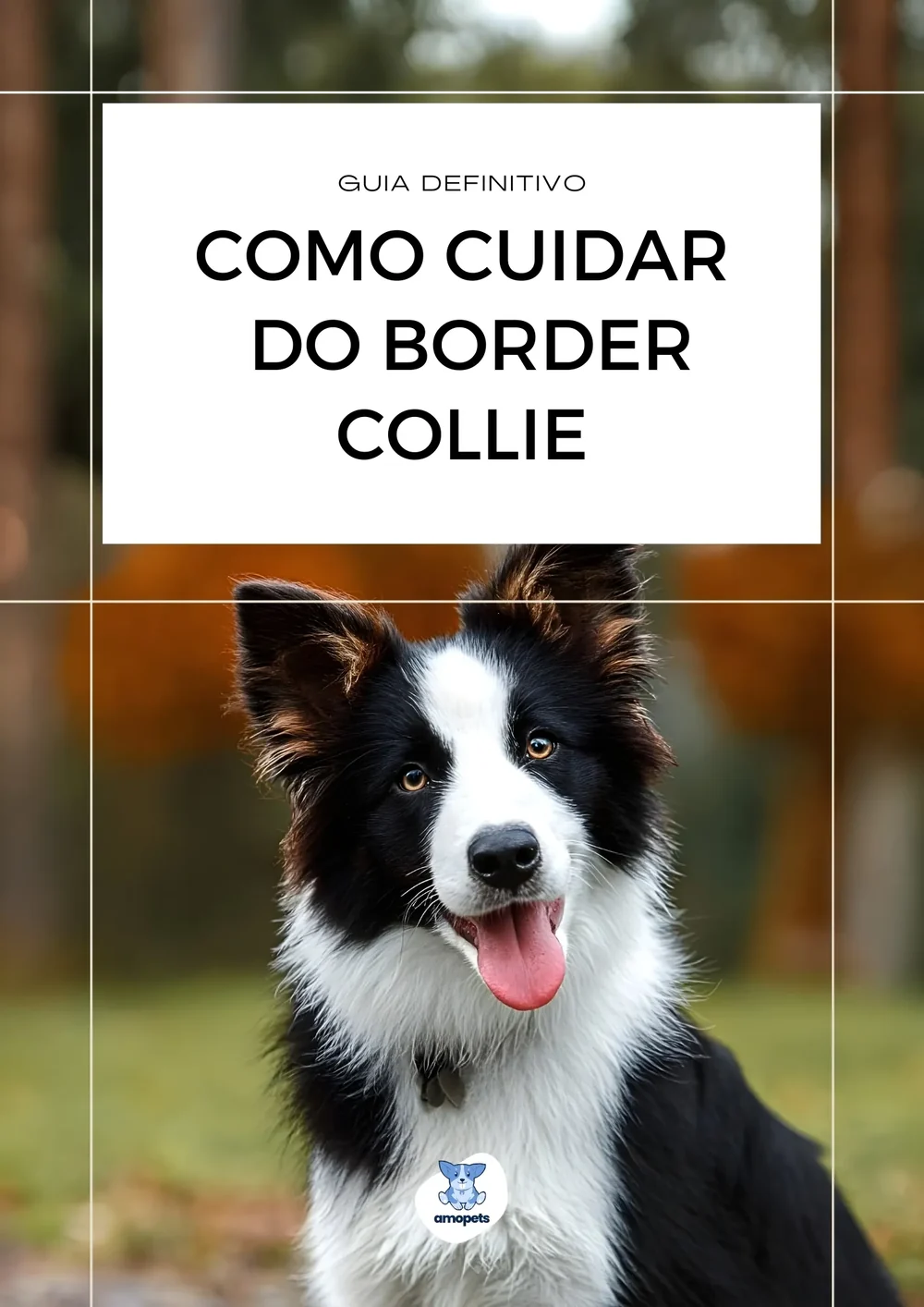 capa do guia de como cuidar do Border Collie