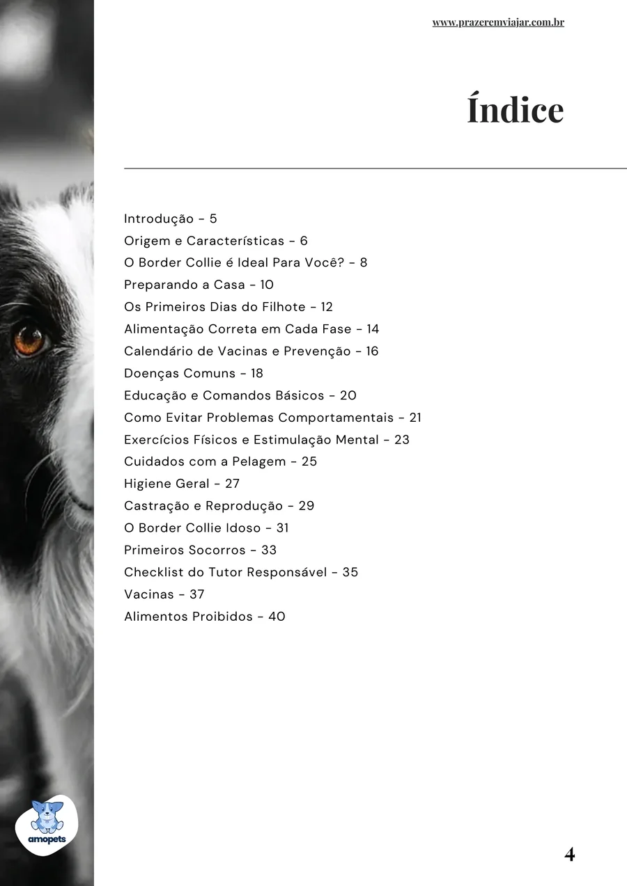 página interna do e-book Guia de Como Cuidar do Border Collie