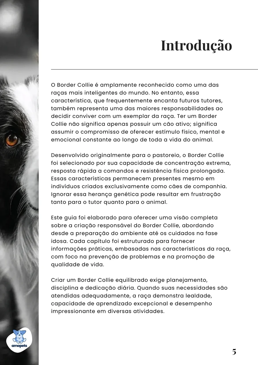 página interna do e-book Guia de Como Cuidar do Border Collie