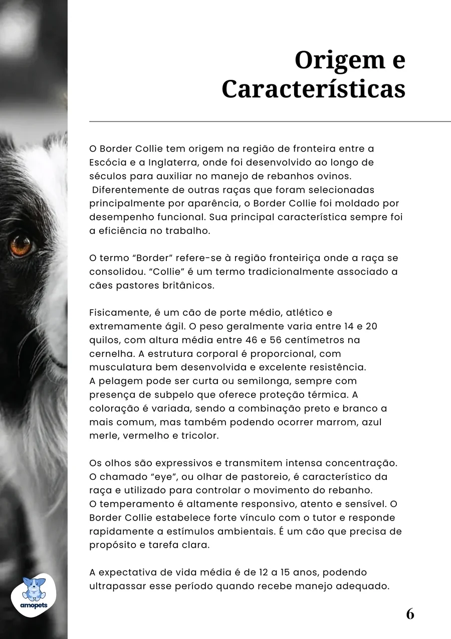 página interna do e-book Guia de Como Cuidar do Border Collie