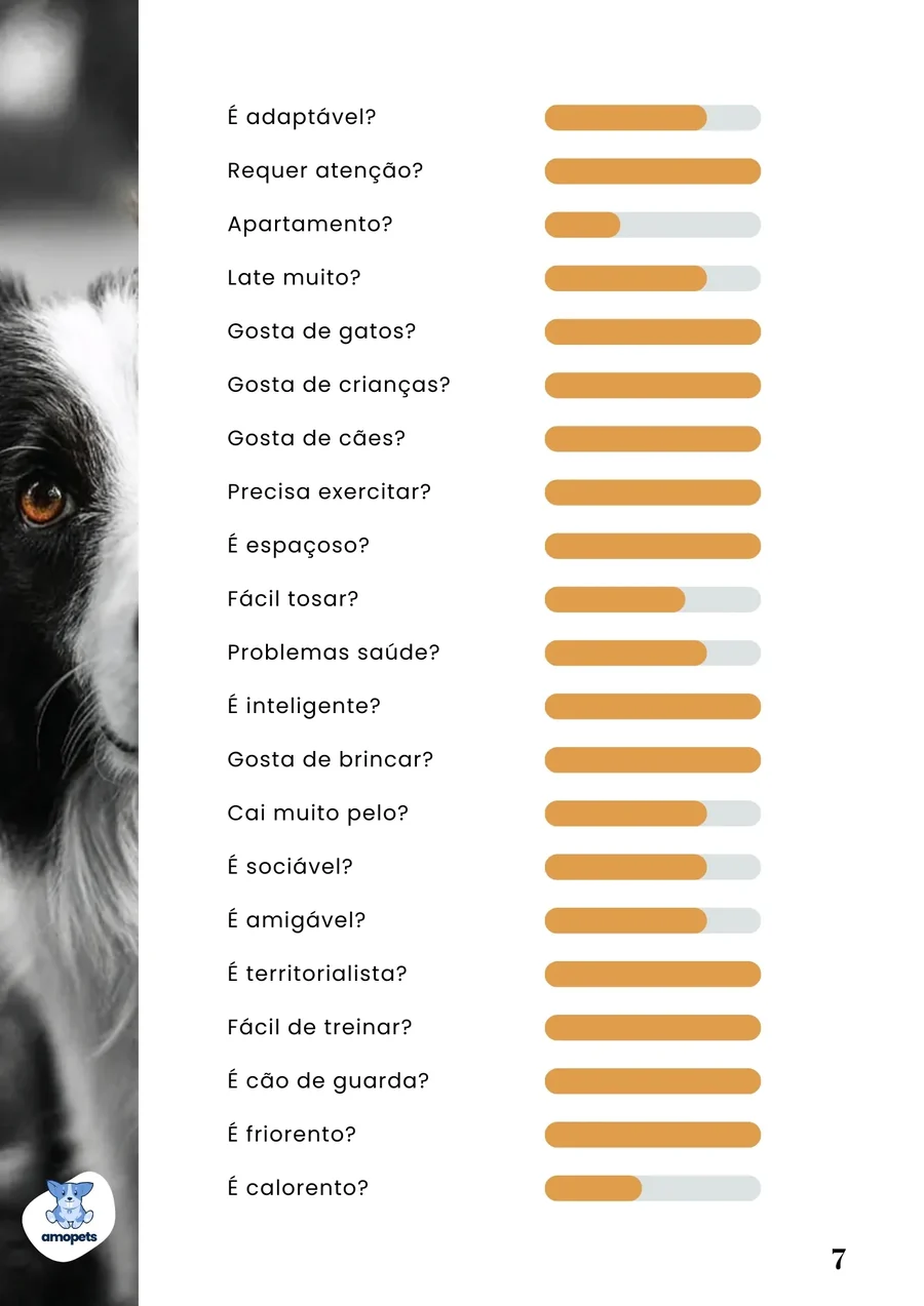 página interna do e-book Guia de Como Cuidar do Border Collie