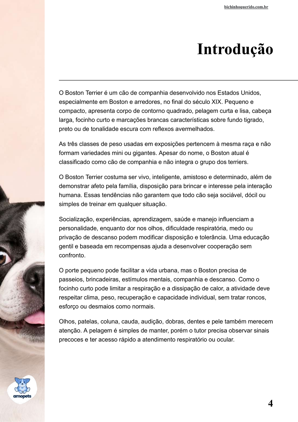 introdução do e-book Guia de Como Cuidar do Boston Terrier