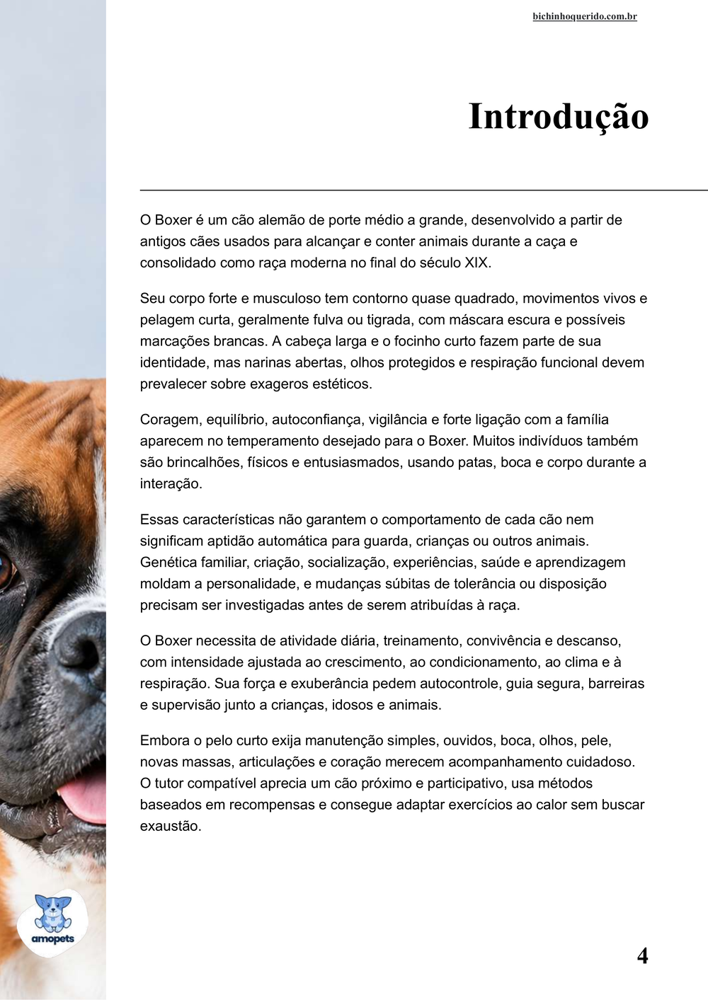 introdução do e-book Guia de Como Cuidar do Boxer