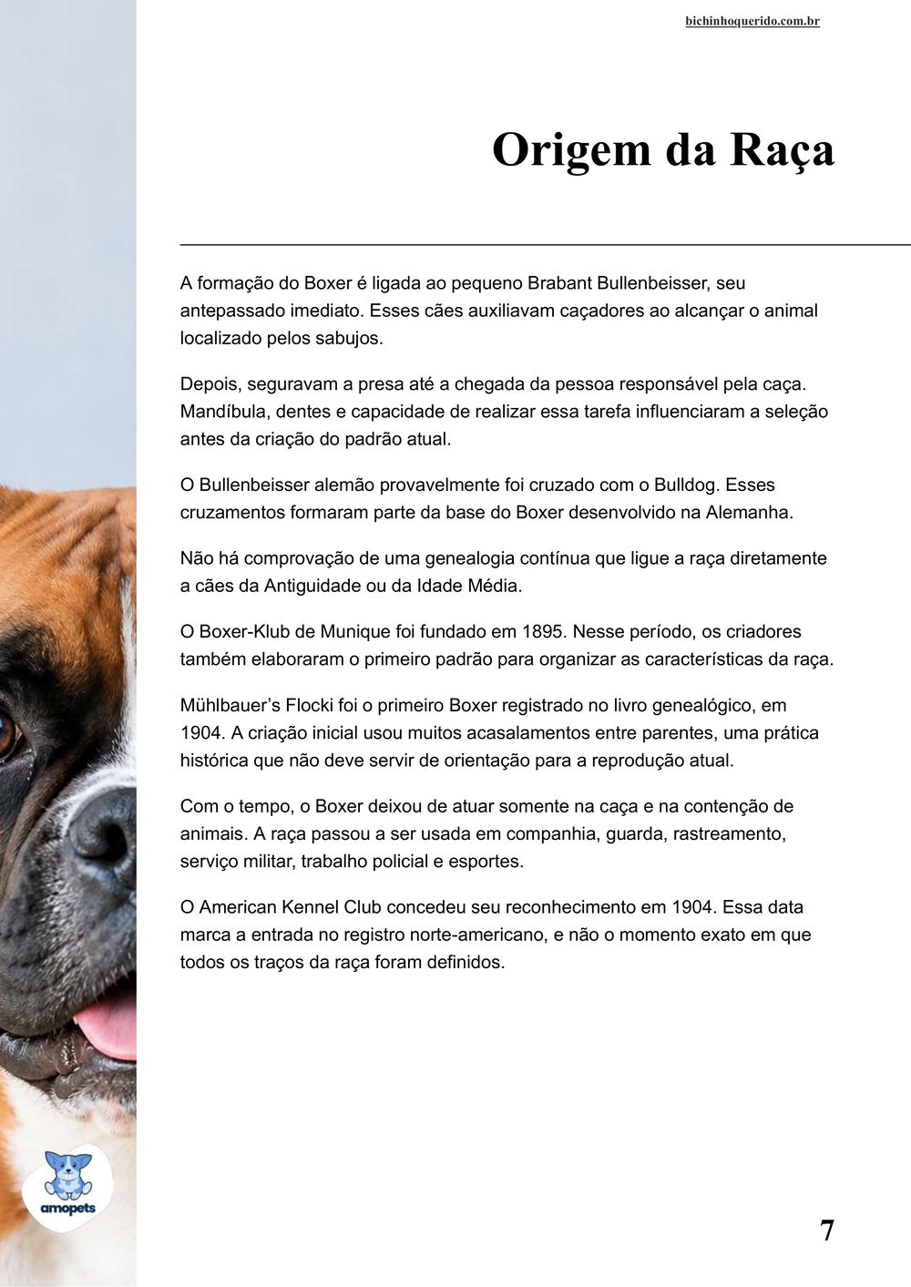 origem da raça no e-book Guia de Como Cuidar do Boxer