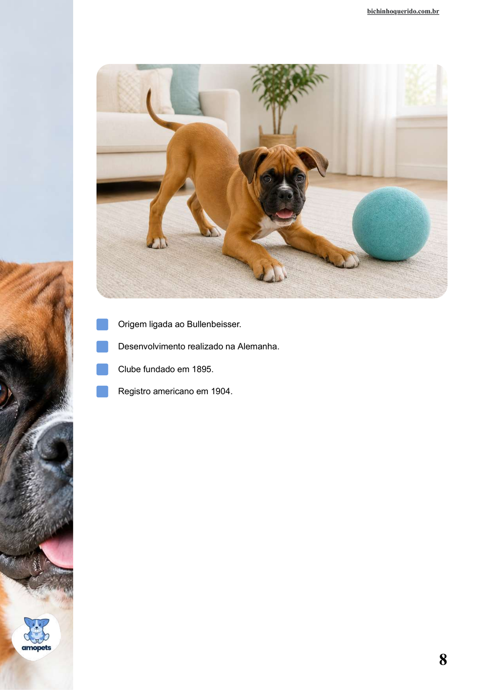 características do Boxer no e-book Guia de Como Cuidar do Boxer