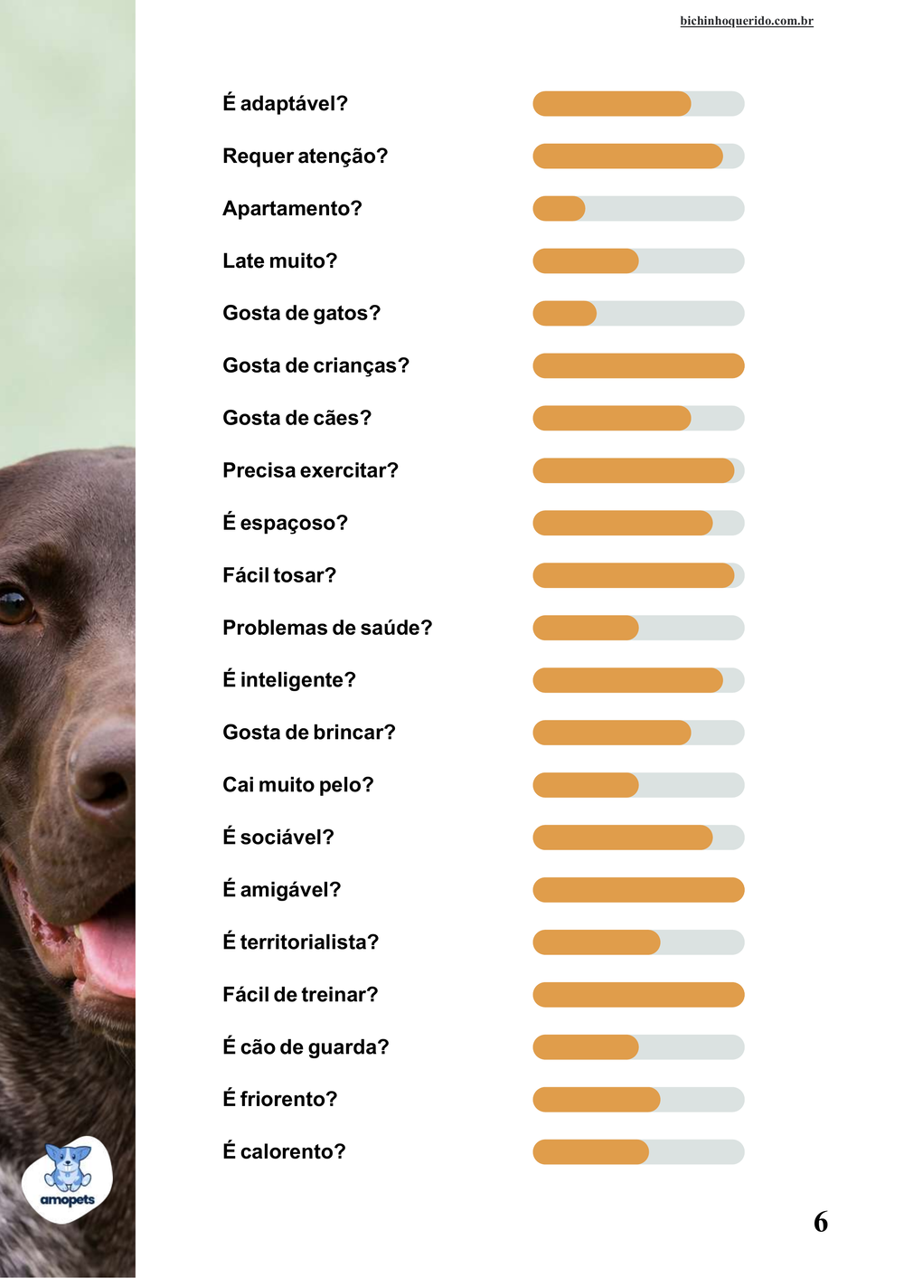 perfil da raça no e-book Guia de Como Cuidar do Braco Alemão