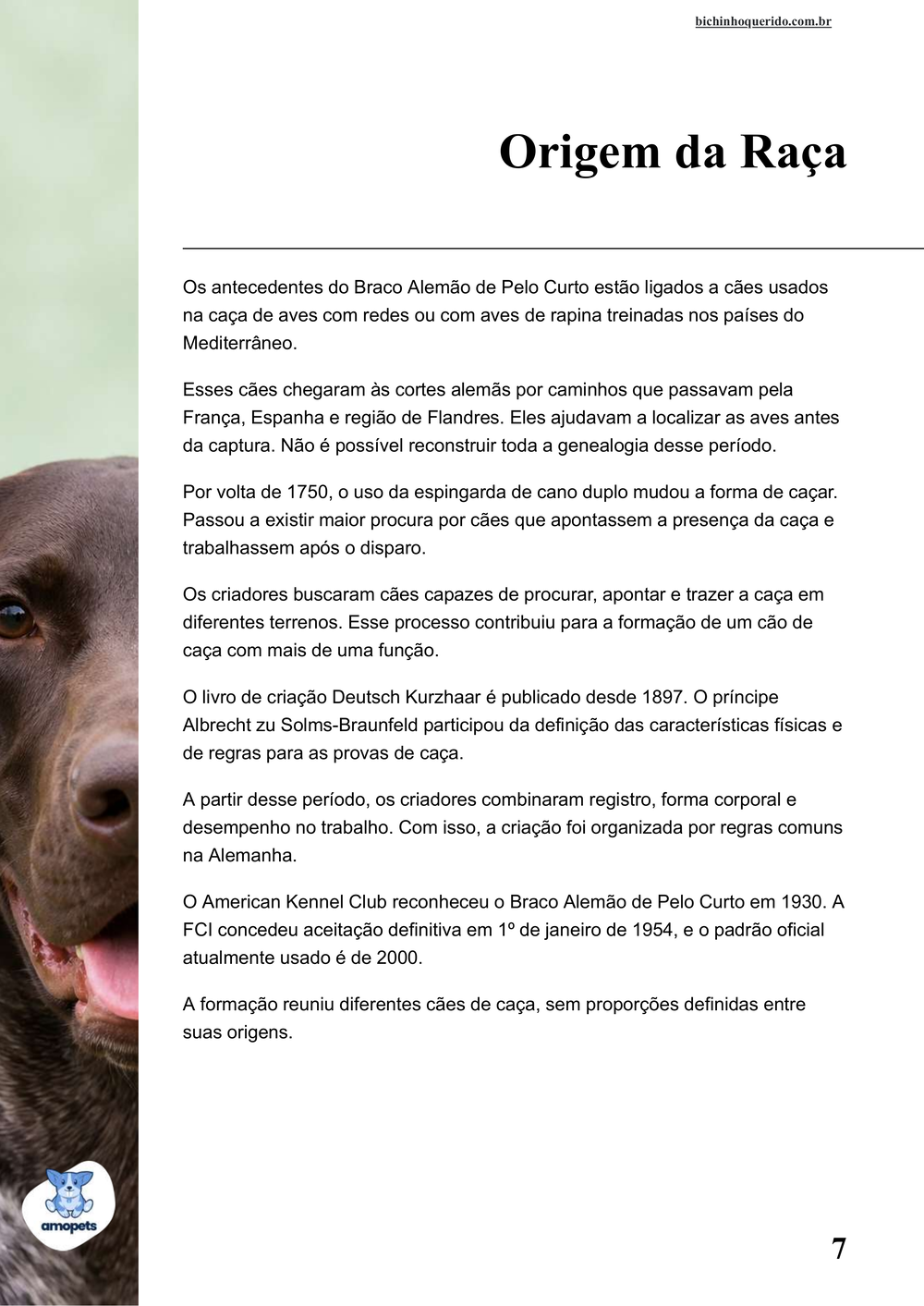 origem da raça no e-book Guia de Como Cuidar do Braco Alemão