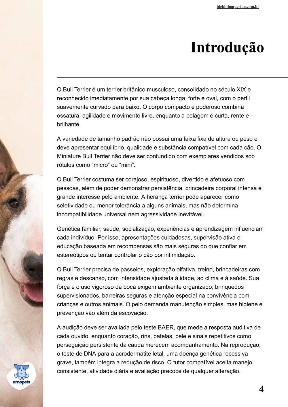 introdução do e-book Guia de Como Cuidar do Bull Terrier