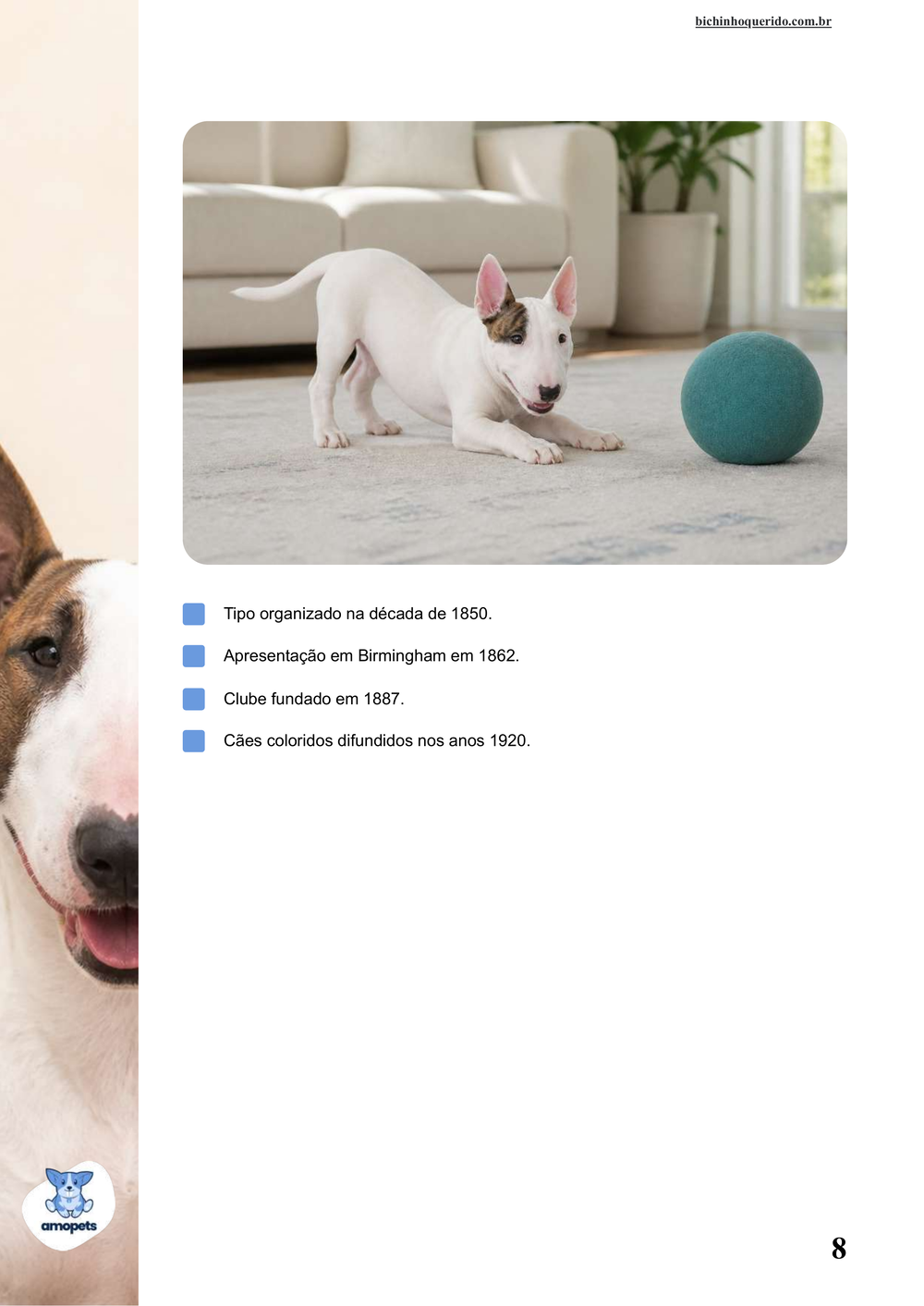 características do Bull Terrier no e-book Guia de Como Cuidar do Bull Terrier