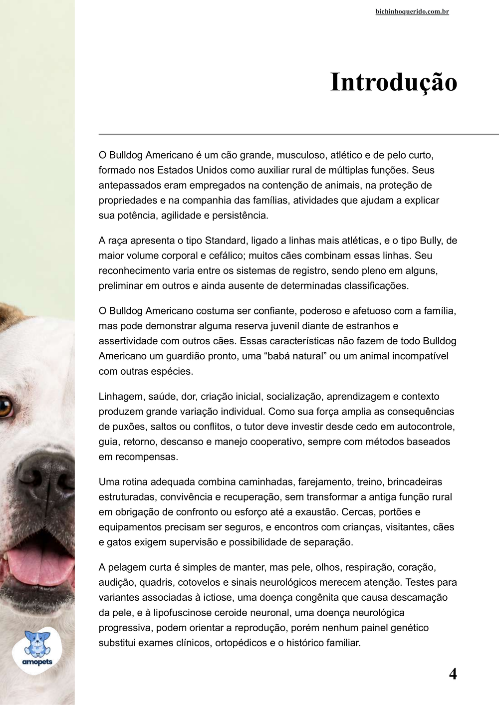 introdução do e-book Guia de Como Cuidar do Bulldog Americano