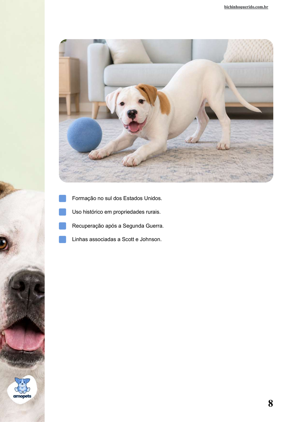 características do Bulldog Americano no e-book Guia de Como Cuidar do Bulldog Americano