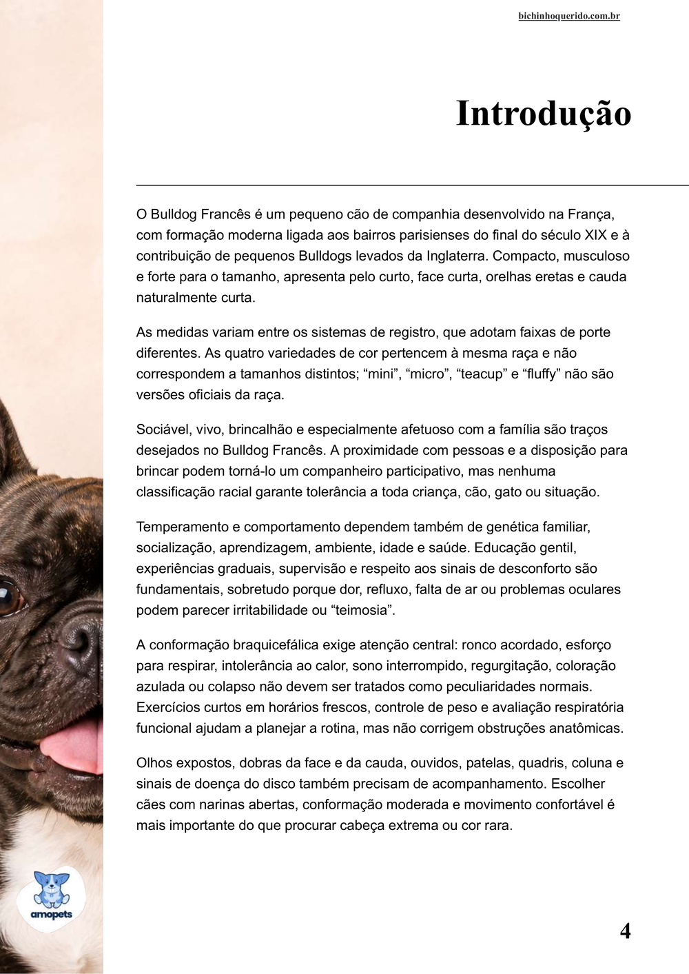 introdução do e-book Guia de Como Cuidar do Bulldog Francês